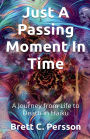 Just A Passing Moment In Time: A Journey of Life and Death in Haiku