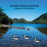 Title: Acadia National Park Animals and Attractions Kids Book: Great Way for Kids to See the Animals and Attractions in Acadia National Park, Author: Billy Grinslott