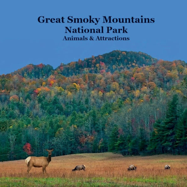 Great Smoky Mountains National Park Animals Attractions Kids Book: Awesome book for Children about Great Smoky Mountains National Park