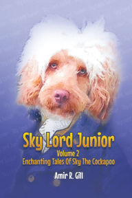 Title: Sky Lord Junior: Volume 2, Author: Amir R Gill