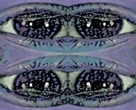 Title: A BIG Canvas For - Whatever You Want - 11x8 - #23: Blank Pages Inside, Author: Gwen Smuda