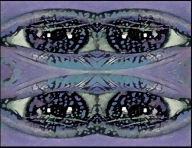 Title: A BIG Canvas For - Whatever You Want - 11x8 - #24: Blank Pages Inside, Author: Gwen Smuda