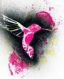 Pink Kolibri