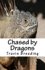 Chased by Dragons