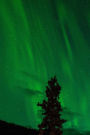 Green Northern Lights Aurora Borealis in the State of Alaska Journal: Take Notes, Write Down Memories in this 150 Page Lined Journal