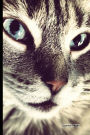 Journal Pages - Kitty Close Up (Unruled): 6