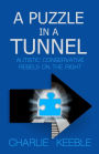 A Puzzle In A Tunnel: Austistic Conservative Rebels On The Right