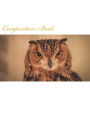 Composition Book: Owls