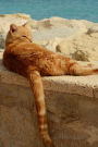 Ginger Cat Relaxing on the Seawall Pet Journal: 150 Page Lined Notebook/Diary