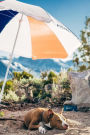 Camping Dog Under Umbrella: 150 page lined 6 x 9 notebook/diary/journal