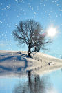 A Midwinter Morning: 150 Page Lined Notebook/Diary