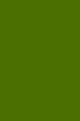 Olive Green 101 - Blank Notebook: Soft Cover, 6 x 9 Journal, 101 Pages