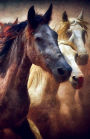 Journal Notebook For Horse Lovers - Running Wild: Lined and Numbered Pages With Index Blank Journal For Journaling, Writing, Planning and Doodling.
