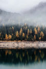 Golden Trees on Foggy Autumn Lake: 150 page lined 6 x 9 notebook/diary/journal