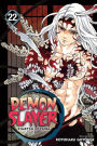 Demon Slayer: Kimetsu no Yaiba, Vol. 22