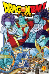 Title: Dragon Ball Super, Vol. 17: God Of Destruction Power, Author: Akira Toriyama