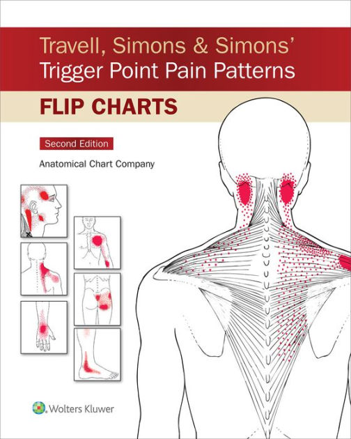 Travell, Simons & Simons' Trigger Point Pain Patterns Flip Charts by