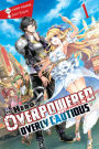 The Hero Is Overpowered but Overly Cautious, Vol. 1 (light novel)