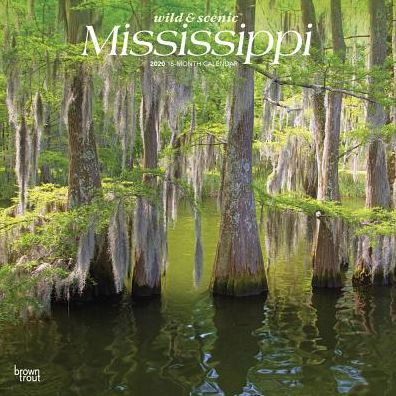 2020 Mississippi Wild Scenic Wall Calendar 9781975408619