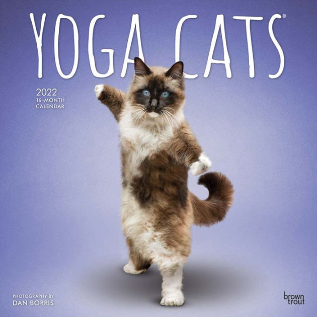 Street Cat Bob Calendar 2022 2022 Yoga Cats Wall Calendar By Browntrout | Barnes & Noble®