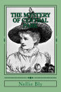 The Mystery of Central Park: A Novel