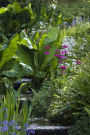 Hillside Gardening Notebook