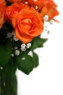 A Beautiful Bouquet of Orange Roses Covered in Dew Journal: Take Notes, Write Down Memories in this 150 Page Lined Journal