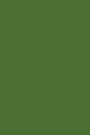 Olive Green 101 - Combo Lined & Blank Notebook: 101 Pages, Medium Ruled, 6x9 Journal, Soft Cover