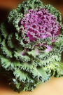 Decorative Cabbage Gardening Journal: 150 Page Lined Notebook/Diary