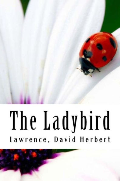 The Ladybird