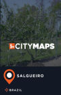 City Maps Salgueiro Brazil