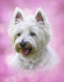 Dog Notebook: 8.5 X 11 202 College Ruled Pages