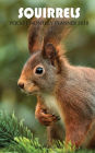 Squirrels Pocket Monthly Planner 2018: 16 Month Calendar