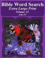 Bible Word Search Extra Large Print Volume 22: John #4