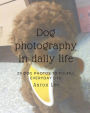 Dog photography in daily life