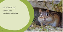 Alternative view 2 of Over or Under