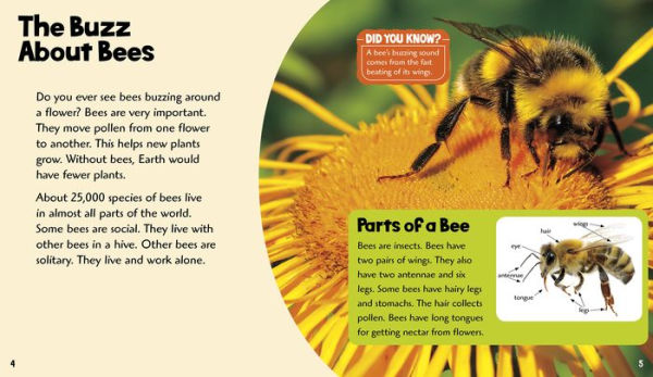 Buzzing Bees: A 4D Book