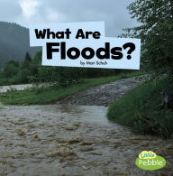 Title: What Are Floods?, Author: Mari Schuh