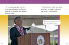 Alternative view 2 of The State Governor