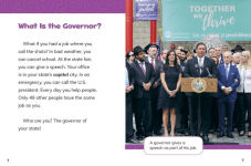 Alternative view 3 of The State Governor