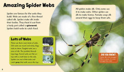 Alternative view 5 of Splendid Spiders