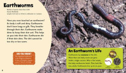 Alternative view 3 of Wonderful Worms