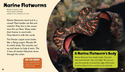 Alternative view 5 of Wonderful Worms
