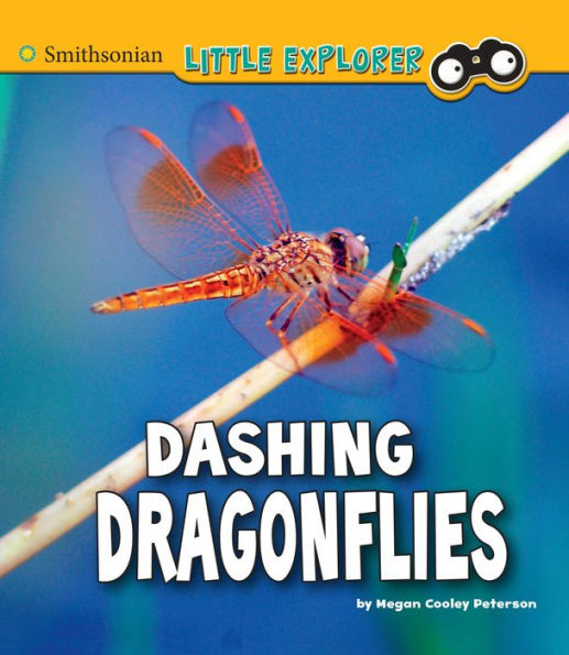 Dashing Dragonflies: A 4D Book