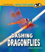 Dashing Dragonflies: A 4D Book