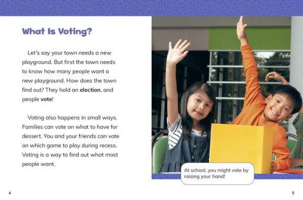 Voting in Elections