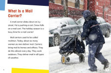 Alternative view 3 of Mail Carriers