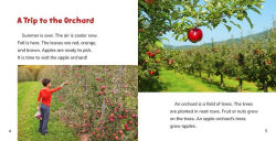 Alternative view 2 of Let's Go to the Apple Orchard