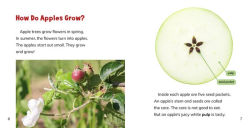 Alternative view 3 of Let's Go to the Apple Orchard