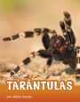 Tarántulas